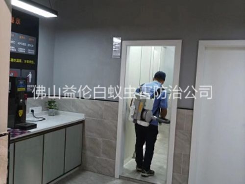 高明室内消杀蚊蝇工程